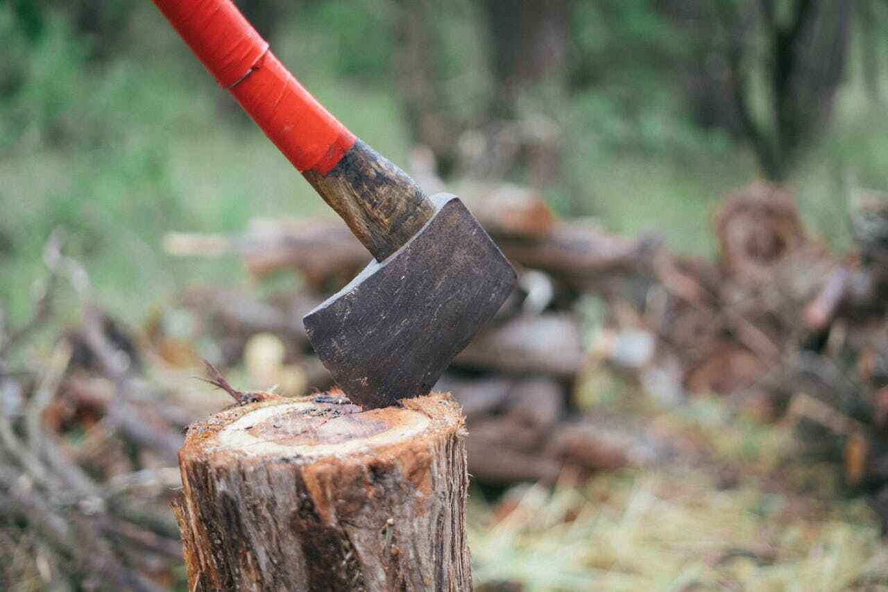 Best Tree Cutting Near Me  in USA